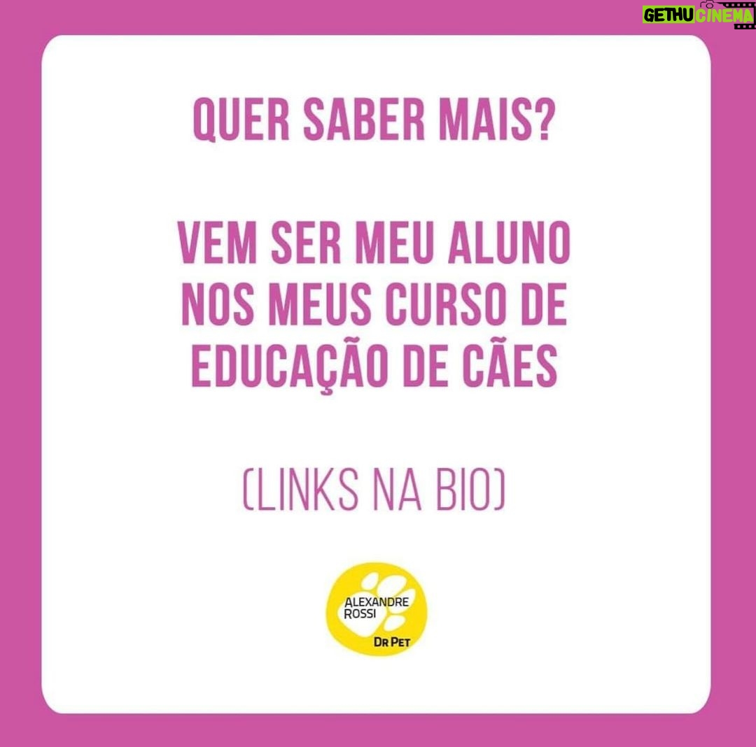 Alexandre Rossi - 6.2K Likes - Se o seu cão tem dificuldade em ficar sozinho, saiba que isso é mais comum do que você imagina!
Infelizmente, a maioria dos cães hoje em dia apresenta algum grau de ansiedade de separação, o que pode causar destruição de móveis e objetos, latidos, choros e uivos, e até xixi e cocô no lugar errado.
Por isso, hoje eu trouxe 5 coisas que podem ajudar seu cão que sofre com isso! Vem conferir.
E pra saber mais, te convido a conhecer os meus cursos de educação de pets, incluindo um exclusivo de ansiedade de separação. Os links estão na bio!
:
#alexandrerossi #drpet #ansiedadedeseparação #comportamentoanimal #adestramentointeligente #adestramentopositivo