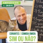Alexandre Rossi Instagram - Será que a cor da ração influencia na qualidade dela? Será que seu gato precisa mesmo comer sachê todo dia? Essas dúvidas são muito comuns entre os tutores, às vezes até um assunto que gera polêmica. Por isso, hoje vim tirar essas dúvidas, assim você já pode ficar mais tranquilo com seu bichano e escolher a melhor alimentação pra ele. : #alexandrerossi #drpet #comportamentoanimal #gatos #alimentacaodegatos