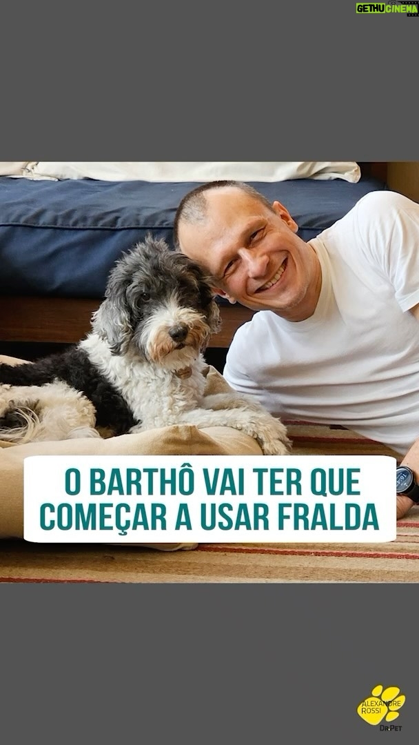 Alexandre Rossi - 41.4K Likes - O Barthô está ficando velhinho e tenho notado algumas mudanças nele com a idade que tá chegando. Uma delas é que ele acaba fazendo xixi quando vai “preparar” a caminha para deitar.
Por isso, decidi começar a colocar fralda nele em alguns momentos específicos, como esse. É tudo pensado em garantir o bem-estar dele, pra que ele não faça xixi na própria caminha e fique deitado no molhado depois. Você sabia que existia fralda pra cachorro?
Além desse, tem mais alguns cuidados que vamos começar por aqui com ele. Contei mais sobre isso no meu podcast que está no Youtube e nas principais plataformas de aúdio.
E amanhã (07/03), também vou fazer uma live sobre o assunto, não percam!
:
#alexandrerossi #drpet #barthooficial #velhicecanina #barthoenvelhecendo #barthoidoso #fraldapracachorro