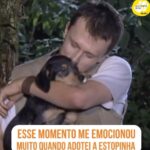 Alexandre Rossi Instagram - Vocês lembram do dia que adotei a Estopinha (@estopinharossi)? A maioria que me acompanha por aqui sabe que nesse dia eu fiz uma promessa pra ela, que cuidaria dela até o fim, e muita gente se emociona com essa promessa, inclusive eu. Mas muitos não sabem que fiz essa promessa pra ela porque não pude fazer o mesmo pela Sofia, a cadelinha que tive antes da Topa. Se você não conheça essa história e quer saber mais, vem ouvir meu podcast, disponível nas principais plataformas de áudio. : #alexandrerossi #drpet #podcast #podcasrtdrpet #estopinha #comportamentoanimal #adocaoestopinha