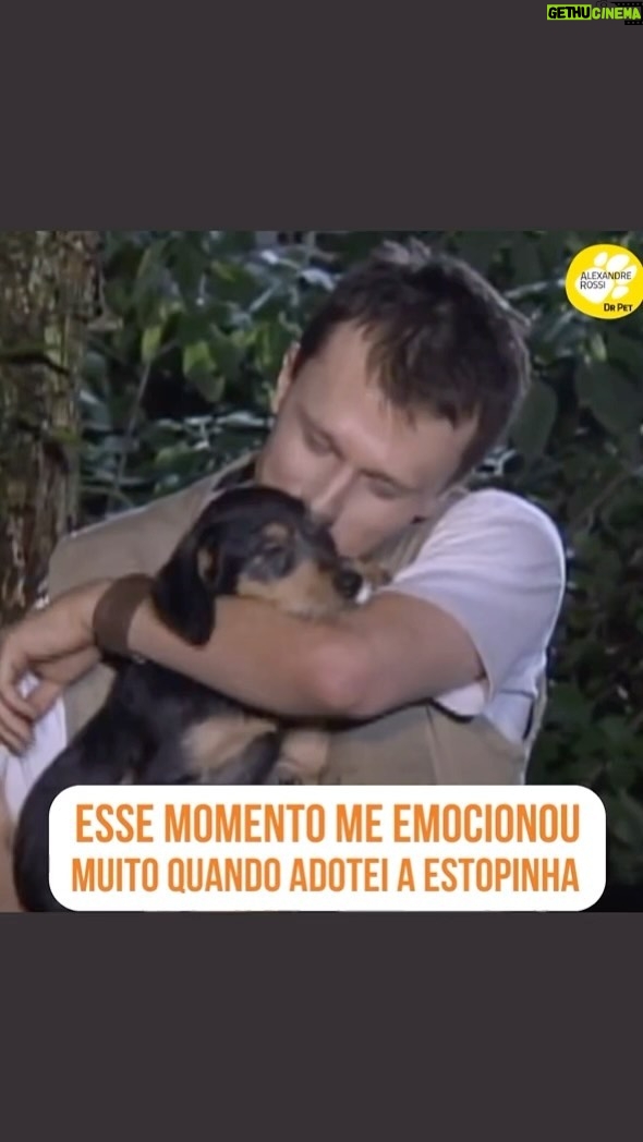 Alexandre Rossi Instagram - Vocês lembram do dia que adotei a Estopinha (@estopinharossi)? A maioria que me acompanha por aqui sabe que nesse dia eu fiz uma promessa pra ela, que cuidaria dela até o fim, e muita gente se emociona com essa promessa, inclusive eu. Mas muitos não sabem que fiz essa promessa pra ela porque não pude fazer o mesmo pela Sofia, a cadelinha que tive antes da Topa. Se você não conheça essa história e quer saber mais, vem ouvir meu podcast, disponível nas principais plataformas de áudio. : #alexandrerossi #drpet #podcast #podcasrtdrpet #estopinha #comportamentoanimal #adocaoestopinha
