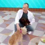 Alexandre Rossi Instagram - Você costuma falar “não” pro seu pet? Hoje no programa Encontro com @patriciapoeta fui desafiado a ensinar o “não” pra Pipoca, aquela cachorrinha malandra que já participou e roubou comida ao vivo. E adivinhem? Em um momento de vacilo, ela acabou puxando uma carne do prato, rs. E isso pode acontecer mesmo durante o processo de ensinamento do “não” e dos limites, então a dica é: ficar atentos e ser mais insistentes e espertos que eles. : #alexandrerossi #drpet #encontro #encontrocompatriciapoeta #regraselimites #adestramentointeligente