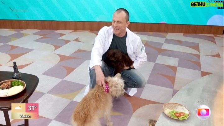 Alexandre Rossi Instagram - Você costuma falar “não” pro seu pet? Hoje no programa Encontro com @patriciapoeta fui desafiado a ensinar o “não” pra Pipoca, aquela cachorrinha malandra que já participou e roubou comida ao vivo. E adivinhem? Em um momento de vacilo, ela acabou puxando uma carne do prato, rs. E isso pode acontecer mesmo durante o processo de ensinamento do “não” e dos limites, então a dica é: ficar atentos e ser mais insistentes e espertos que eles. : #alexandrerossi #drpet #encontro #encontrocompatriciapoeta #regraselimites #adestramentointeligente