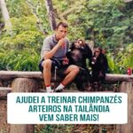 Alexandre Rossi Instagram - Vocês sabem que adoro aventuras e desafios, né?! E uma dessas aventuras foi na Tailândia, onde tinha observado alguns chimpanzés fujões. Pois é, os cuidadores não conseguiam sair com eles do recinto, porque eles fugiam e ninguém conseguia pegar de volta. E observando, descobri um jeito de deixá-los por perto: com iogurte e sorvetes naturais. E pra saber essa história toda, vai lá no meu canal do Youtube que contei tudo pra vocês. : #alexandrerossi #drpet #comportamentoanimal #treinodeanimais #chimpanzes #tailandia #podcast