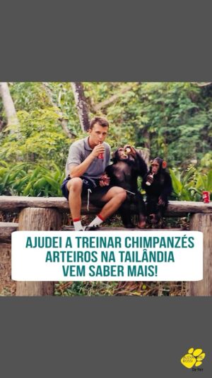 Alexandre Rossi Instagram - Vocês sabem que adoro aventuras e desafios, né?!

E uma dessas aventuras foi na Tailândia, onde tinha observado alguns chimpanzés fujões. Pois é, os cuidadores não conseguiam sair com eles do recinto, porque eles fugiam e ninguém conseguia pegar de volta. 

E observando, descobri  um jeito de deixá-los por perto: com iogurte e sorvetes naturais. 

E pra saber essa história toda, vai lá no meu canal do Youtube que contei tudo pra vocês.
:
#alexandrerossi #drpet #comportamentoanimal #treinodeanimais #chimpanzes #tailandia #podcast