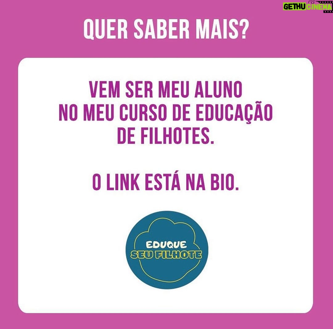 Alexandre Rossi Instagram - A maioria das pessoas que tem um filhote espera as vacinas terminarem, coloca a coleira e a guia e sai pra rua. Mas você sabia que essa não é a melhor forma de começar os passeios? Pois é, a melhor forma é aproveitar o período de socialização dos filhotes, que vai até o 100° dias, pra sair com eles no colo e em locais com poucos cães, ou seja, apresentar o mundo pra ele de forma controlada e positiva. Assim, você evita que ele se torne medroso ou agressivo, pois nesse período ele está mais receptivo a novas experiências. É importante também ensinar dentro de casa a usar o equipamento de passeio, colocando de forma gradual e associando com coisas boas, depois andando com ele pela casa e em locais calmos e só depois realmente saindo pro passeio. Quer saber mais? Vem ser meu aluno no meu curso “Educação de Filhotes”. O link está bio. : #alexandrerossi #drpet #comportamentocanino #filhote #educaçãodefilhote #adestramentointeligente