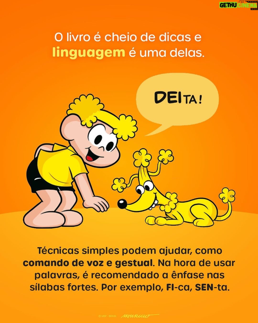 Alexandre Rossi Instagram - Como Educar seu Cãozinho é mais uma parceria da Turma com o especialista Alexandre Rossi. Com dicas imperdíveis que ajudam a ensinar e melhorar ainda mais a convivência com o seu pet. 🐾✨