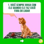 Alexandre Rossi Instagram - Se identificou com algum? Então, primeiramente eu quero que você saiba que não está sozinho! A coprofagia (ato de comer cocô) é mais comum do que se imagina. Além disso, na maioria das vezes, as pessoas acabam reforçando esse comportamento sem saber, como podem ver neste post! Apesar da coprofagia ser, sim, um comportamento normal em várias espécies de animais, o ato pode gerar muito constrangimento nos tutores e comprometer a relação com seus pets, algo que acaba prejudicando a qualidade de vida de todos. Então, se esse é o seu caso, um dos primeiros passos é identificar o que está levando seu pet a comer cocô e depois treinar de acordo e/ou tratar medicamentosamente, se necessário. ➡️Eu criei um curso online completo pra te ajudar a entender melhor esse problema e a melhor forma de lidar com ele e voltar a ter uma boa convivência com seu pet. O link está na bio! : #alexandrerossi #drpet #comportamentofelino #adestramentointeligente #cachorros #coprofagia