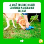 Alexandre Rossi Instagram - Se identificou com algum? Então, primeiramente eu quero que você saiba que não está sozinho! A coprofagia (ato de comer cocô) é mais comum do que se imagina. Além disso, na maioria das vezes, as pessoas acabam reforçando esse comportamento sem saber, como podem ver neste post! Apesar da coprofagia ser, sim, um comportamento normal em várias espécies de animais, o ato pode gerar muito constrangimento nos tutores e comprometer a relação com seus pets, algo que acaba prejudicando a qualidade de vida de todos. Então, se esse é o seu caso, um dos primeiros passos é identificar o que está levando seu pet a comer cocô e depois treinar de acordo e/ou tratar medicamentosamente, se necessário. ➡️Eu criei um curso online completo pra te ajudar a entender melhor esse problema e a melhor forma de lidar com ele e voltar a ter uma boa convivência com seu pet. O link está na bio! : #alexandrerossi #drpet #comportamentofelino #adestramentointeligente #cachorros #coprofagia