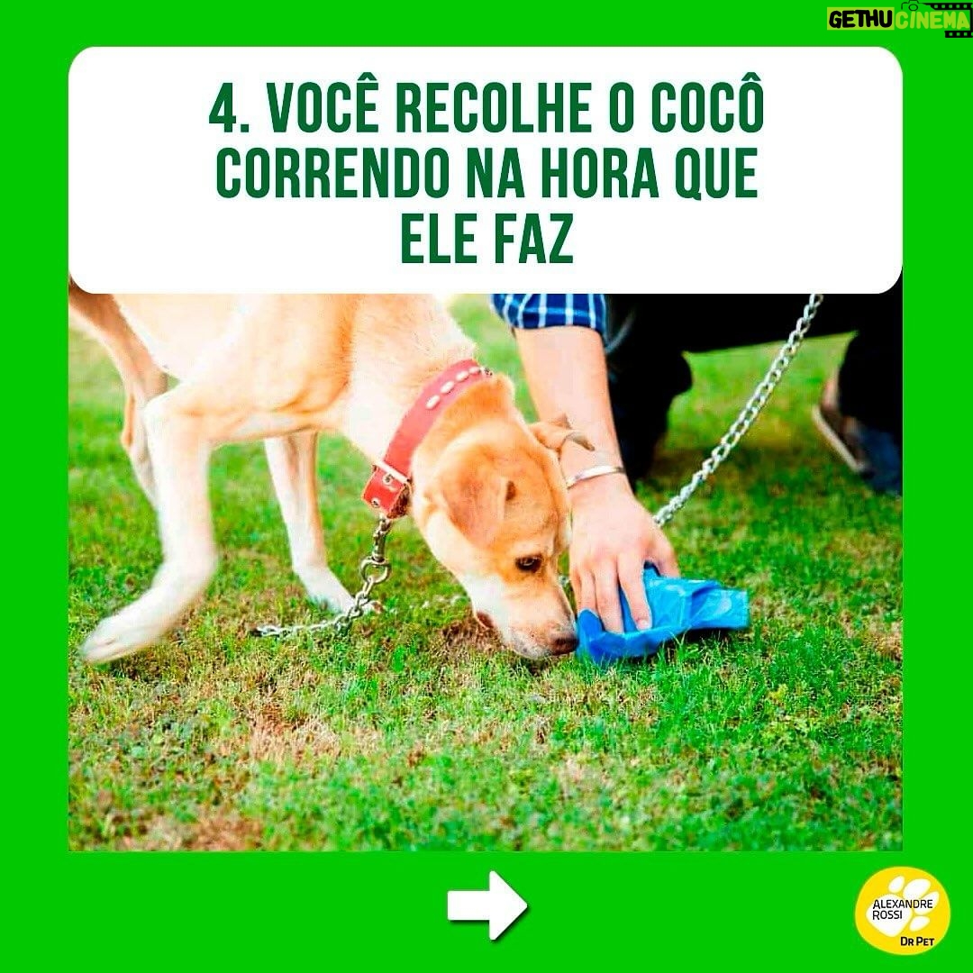 Alexandre Rossi Instagram - Se identificou com algum? Então, primeiramente eu quero que você saiba que não está sozinho! A coprofagia (ato de comer cocô) é mais comum do que se imagina. Além disso, na maioria das vezes, as pessoas acabam reforçando esse comportamento sem saber, como podem ver neste post! Apesar da coprofagia ser, sim, um comportamento normal em várias espécies de animais, o ato pode gerar muito constrangimento nos tutores e comprometer a relação com seus pets, algo que acaba prejudicando a qualidade de vida de todos. Então, se esse é o seu caso, um dos primeiros passos é identificar o que está levando seu pet a comer cocô e depois treinar de acordo e/ou tratar medicamentosamente, se necessário. ➡️Eu criei um curso online completo pra te ajudar a entender melhor esse problema e a melhor forma de lidar com ele e voltar a ter uma boa convivência com seu pet. O link está na bio! : #alexandrerossi #drpet #comportamentofelino #adestramentointeligente #cachorros #coprofagia