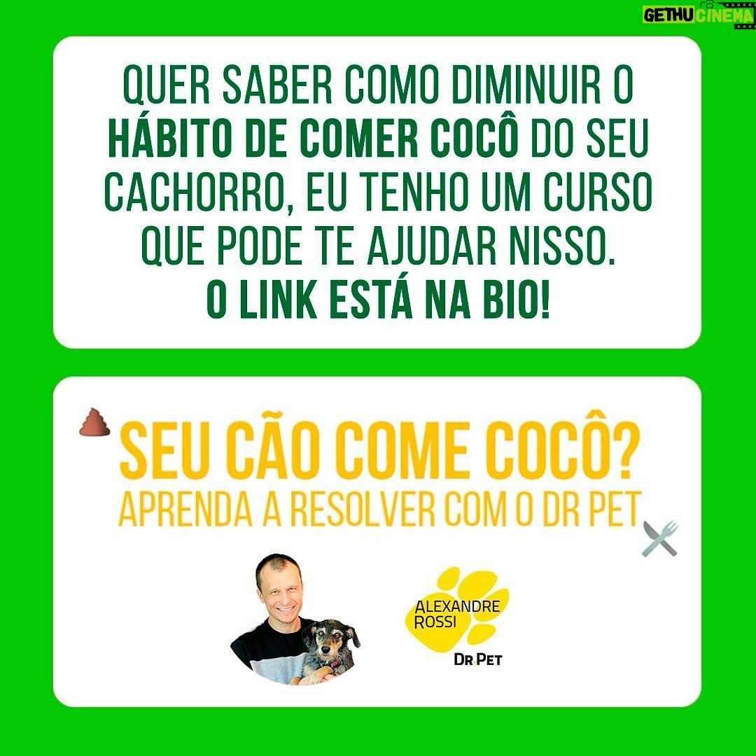 Alexandre Rossi Instagram - Se identificou com algum? Então, primeiramente eu quero que você saiba que não está sozinho! A coprofagia (ato de comer cocô) é mais comum do que se imagina. Além disso, na maioria das vezes, as pessoas acabam reforçando esse comportamento sem saber, como podem ver neste post! Apesar da coprofagia ser, sim, um comportamento normal em várias espécies de animais, o ato pode gerar muito constrangimento nos tutores e comprometer a relação com seus pets, algo que acaba prejudicando a qualidade de vida de todos. Então, se esse é o seu caso, um dos primeiros passos é identificar o que está levando seu pet a comer cocô e depois treinar de acordo e/ou tratar medicamentosamente, se necessário. ➡️Eu criei um curso online completo pra te ajudar a entender melhor esse problema e a melhor forma de lidar com ele e voltar a ter uma boa convivência com seu pet. O link está na bio! : #alexandrerossi #drpet #comportamentofelino #adestramentointeligente #cachorros #coprofagia