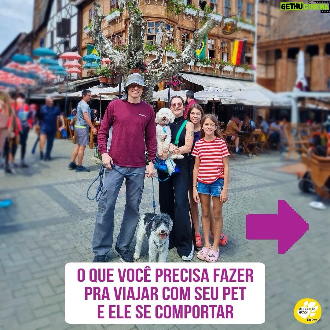 Alexandre Rossi Instagram - Quem me acompanha por aqui viu que nesse final de semana fui viajar com o @barthooficial e o Bruno. E muita gente adorou acompanhar nossa viagem e também perguntou como treinar o pet pra viajar junto. Por isso, hoje trouxe 3 dicas de como você pode preparar seu pet pra viajar com você e se comportar. Vem conferir! E pra saber mais sobre como educar seu pet, vem ser meu aluno no curso “Método Adestramento Inteligente”. O link está na bio. : #alexandrerossi #drpet #viagemcompet #comportamentoanimal #adestramentointeligente