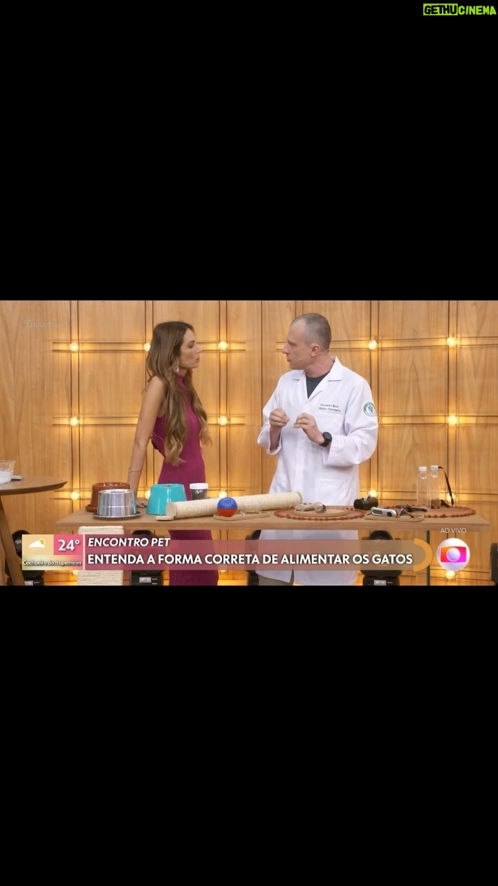 Alexandre Rossi Instagram - Se você tem um gato com certeza já deve ter ouvido que ele precisa comer várias vezes por dia, certo? E muita gente não sabe o motivo. Por isso, hoje no Encontro Pet do programa Encontro com @patriciapoeta, eu falei um pouco sobre isso! Vem conferir e já me conta como é por aí 👇🏻 : #alexandrerossi #drpet #comportamentoanimal #gatos #alimentacaodegatos #encontro #tvglobo