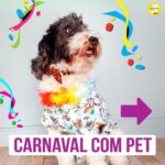 Alexandre Rossi Instagram - Muitas pessoas gostam de incluir os pets na folia do carnaval (e em outras comemorações) e me perguntam sobre o que penso disso! A minha opinião é que quanto mais a gente puder integrar os animais no nosso dia a dia, melhor! Mas, a gente nunca pode se esquecer de que o bem-estar deles vêm em primeiro lugar, e que a experiência precisa ser legal e saudável para eles. Então, aqui vão algumas dicas para os cuidados no carnaval. ⠀⠀⠀⠀⠀⠀⠀⠀ Ótimo carnaval a todos! #DrPet #adestramentointeligente #ComportamentoAnimal #DrPet #Cachorro #Gato #CarnavalComPets