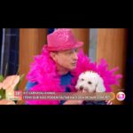 Alexandre Rossi Instagram - O carnaval chegou e muitos tutores adoram curtir e levar o pet junto pro bloquinho, rs. Por isso, sexta no “Encontro Pet” do programa Encontro com @patriciapoeta da @tvglobo, eu dei algumas dicas do que levar pro passeio com eles e também quando é melhor deixá-los em casa. Vem conferir e já me conta: como está sendo o feriado por aí? : #alexandrerossi #drpet #comportamentoanimal #carnaval #carnavalpet #fantasiadecarnaval