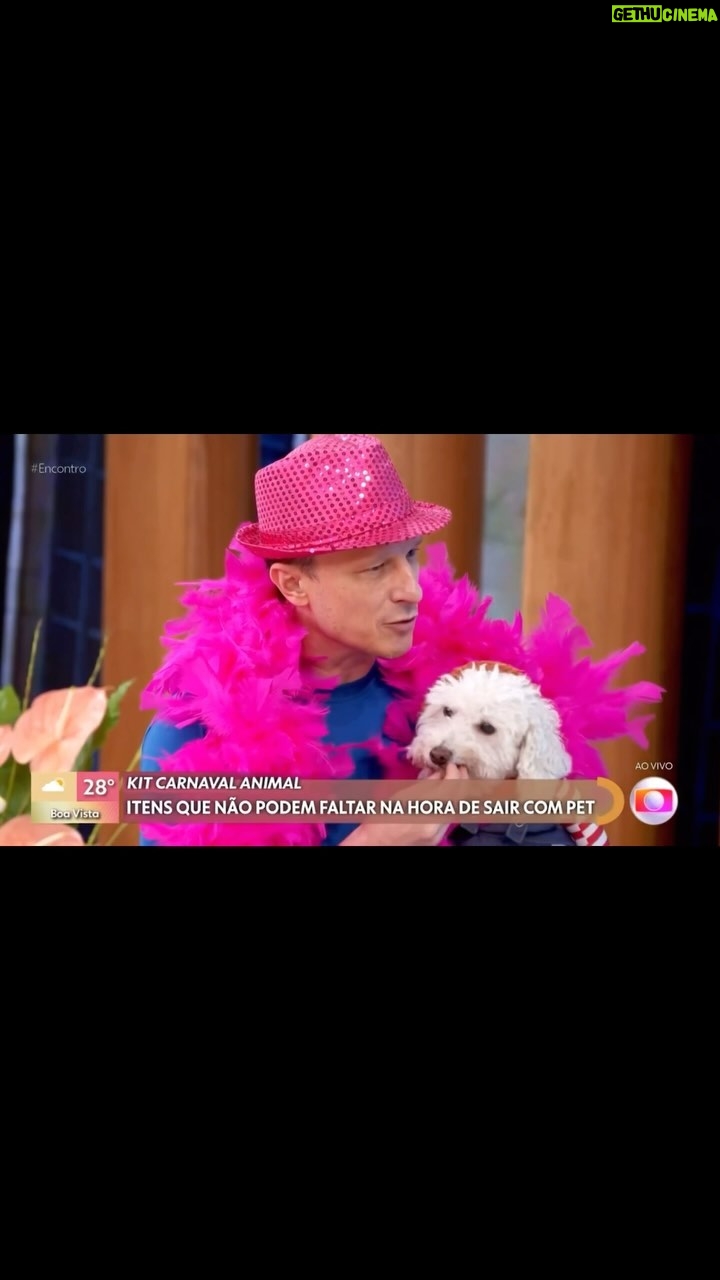 Alexandre Rossi Instagram - O carnaval chegou e muitos tutores adoram curtir e levar o pet junto pro bloquinho, rs. Por isso, sexta no “Encontro Pet” do programa Encontro com @patriciapoeta da @tvglobo, eu dei algumas dicas do que levar pro passeio com eles e também quando é melhor deixá-los em casa. Vem conferir e já me conta: como está sendo o feriado por aí? : #alexandrerossi #drpet #comportamentoanimal #carnaval #carnavalpet #fantasiadecarnaval