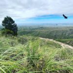 Alfonso Herrera Instagram -