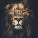 Ali Bagov Instagram - Таухид (Единобожие). Когда Таухид человека становится сильнее... وَكُلَّمَا قَوِيَ التَّوْحِيدُ فِي قَلْبِ الْعَبْدِ قَوِيَ إيمَانُهُ وَطُمَأْنِينَتُهُ وَتَوَكُّلُهُ وَيَقِينُهُ «Каждый раз когда Таухид становится сильнее в сердце раба, становятся сильнее его вера (иман), спокойствие, упование (на Аллаха) и убежденность». — (Ибн Теймийя в “Маджму’уль-фатауа” 28/35)