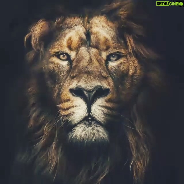 Ali Bagov Instagram - Таухид (Единобожие). Когда Таухид человека становится сильнее... وَكُلَّمَا قَوِيَ التَّوْحِيدُ فِي قَلْبِ الْعَبْدِ قَوِيَ إيمَانُهُ وَطُمَأْنِينَتُهُ وَتَوَكُّلُهُ وَيَقِينُهُ «Каждый раз когда Таухид становится сильнее в сердце раба, становятся сильнее его вера (иман), спокойствие, упование (на Аллаха) и убежденность». — (Ибн Теймийя в “Маджму’уль-фатауа” 28/35)