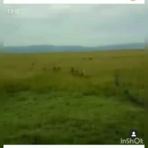Ali Bagov Instagram - И когда произносим мы: 