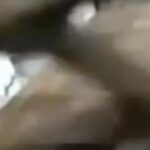 Ali Bagov Instagram - Это лишь дунья, она если обрадует тебя однажды – то потом огорчит в два раза больше. Она обольщает тебя подобно миражу, и ты идешь к нему, и не чувствуешь, что обманут. Такова суть этой дуньи..