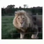 Ali Bagov Instagram - Контроль над собой подразумевает контроль над тобой.