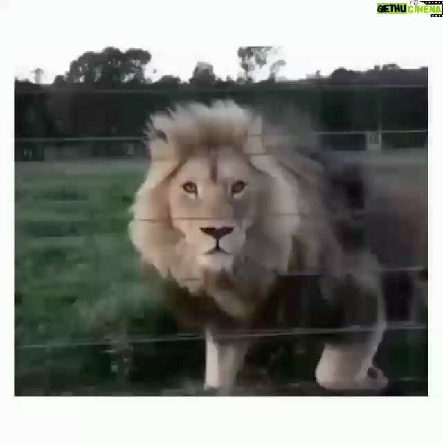 Ali Bagov Instagram - Контроль над собой подразумевает контроль над тобой.