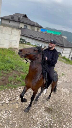 Ali Bagov Instagram - Суфьян ас-Саури сказал:

«Мало разговаривай и твое сердце смягчится;
долго молчи и достигнешь набожности;
и к мирскому сильно не стремись». 

«Хильятуль-аулия»