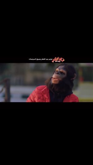 Ali Rabie Instagram - الحمد لله النجاح الكبير لفيلم #بعد_الشر  واغنيه سطلانه  وان شاء الله الي جي اقوي 👌 واووووه  كملو انتو بقي 😀