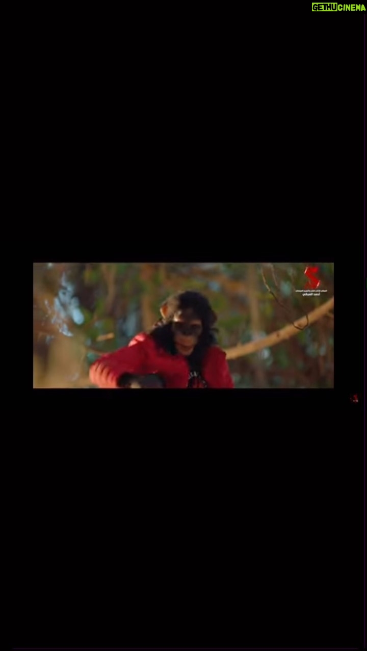 Ali Rabie Instagram - اجازه سعيده مع فيلم #بعد_الشر في كل سينمات مصر والوطن العربي