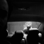 Ali Shadman Instagram - سوار ماشین شدم ؛ فهمیدم این چند روز که بیرون نرفتم یکی از شیشه ها پایین بوده ، استارت زدم ، خواستم دنده عقب بگیرم که ، با این مهمون ناخونده مواجه شدم 😶