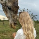 Alica Schmidt Instagram – Met a local today 🦒🥺
A once in a lifetime experience ❤️
#southafrica #giraffe #safari