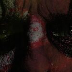 Alice Cooper Instagram -