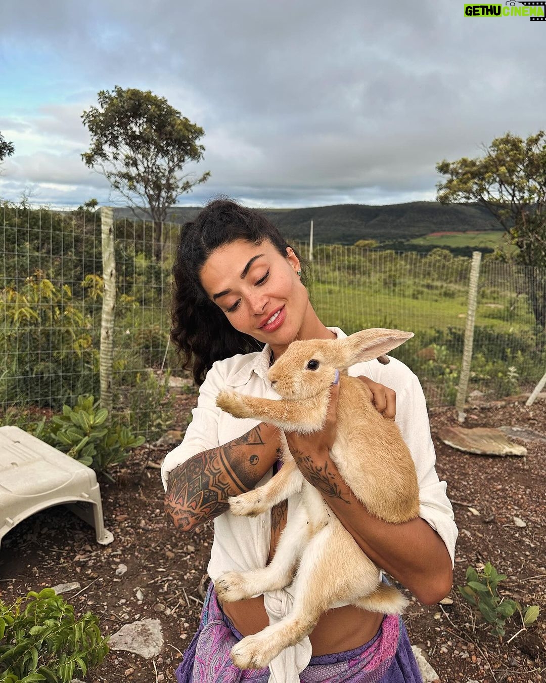 Aline Campos Instagram - Sobre um dia nublado perfeito, vibrando mto AMOR 💜🙏🏾 @paradiseranchbrasil Chapada dos Veadeiros