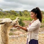 Aline Campos Instagram - Sobre um dia nublado perfeito, vibrando mto AMOR 💜🙏🏾 @paradiseranchbrasil Chapada dos Veadeiros