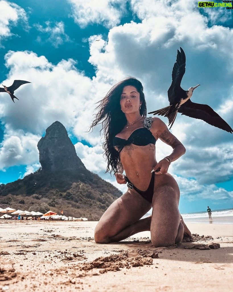 Aline Campos Instagram - os pássaros são os protagonistas 🦅 . 📱 @neuronha Fernando de Noronha