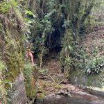 Aline Campos Instagram - no meu habitat natural 🌳 Sexta-feira 13 com energia de renovação por aqui✨🦋 #ViscondeDeMaua Cachoeira Das Antas