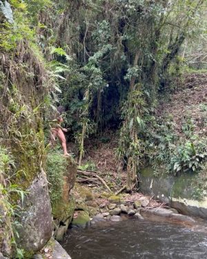 Aline Campos Instagram - no meu habitat natural 🌳
Sexta-feira 13 com energia de renovação por aqui✨🦋
#ViscondeDeMaua