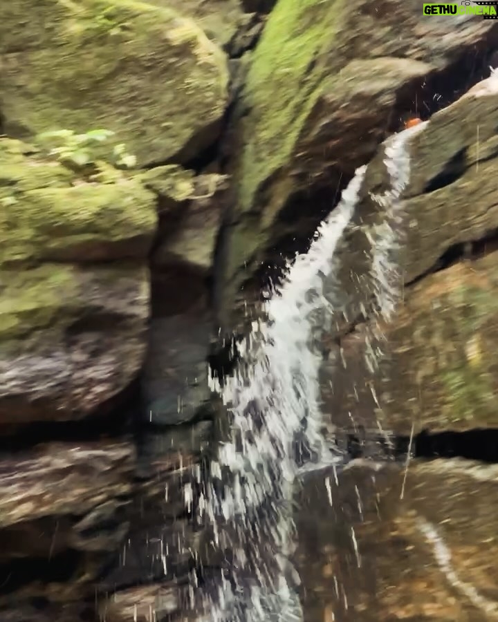 Aline Campos Instagram - Uma das minhas trilhas favoritas 🥾🌳🐾 Já foi? #GargantaDoCeu #RJ Rio de Janeiro, Rio de Janeiro