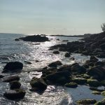 Aline Campos Instagram - Garopaba e toda sua natureza abundante e acolhedora 🩵🍃☀️ Mostrei o rolê perfeito de hj nos stories!! Só agradeço!🙏🏾 Praia do Ouvidor