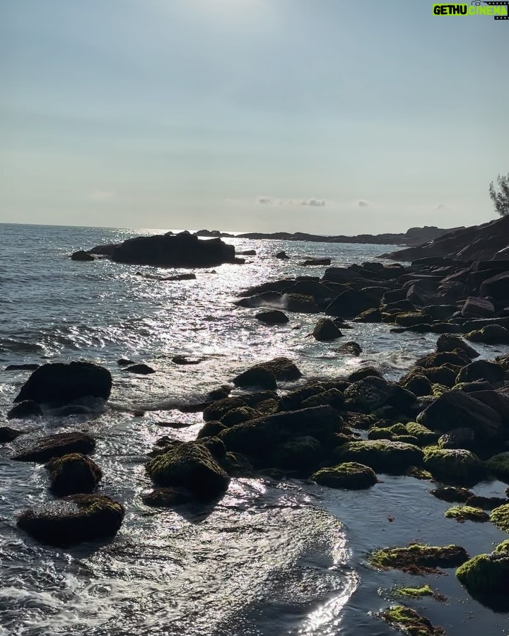 Aline Campos Instagram - Garopaba e toda sua natureza abundante e acolhedora 🩵🍃☀️ Mostrei o rolê perfeito de hj nos stories!! Só agradeço!🙏🏾 Praia do Ouvidor