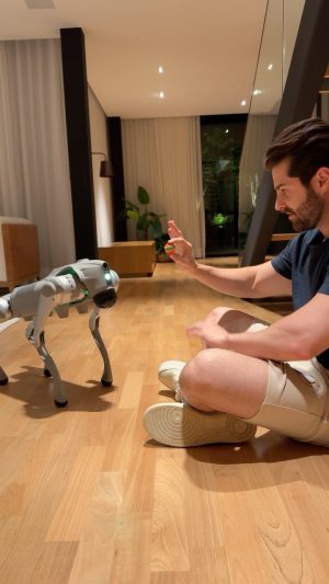 Alok Instagram - Ele vai se chamar “Aulok”. Gostaram? 🥰
He’s going to be called “Aulok”. Did you like it? 🤖