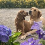 Alperen Duymaz Instagram –