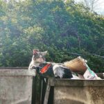 Alperen Duymaz Instagram -