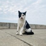 Alperen Duymaz Instagram – Gün güzeli Emirhan
