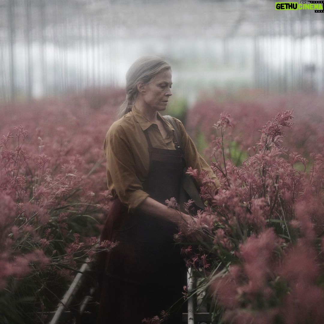 Alycia Debnam-Carey Instagram - I’ve been sitting on something really special to me for the last 6 months but we’re back and I’m so excited to finally share #thelostflowersofalicehart with you. I’m beyond proud of this project and all the people who brought it to life. Being able to return to my home country, reconnect with our environment, speak in my accent and play with some of Australia’s best breathed so much life into me. This show is beautiful, heartbreaking and powerful. It’s on @primevideoaunz now so please go check it out! Thank you to @glendyn_ivin who is a masterful director and @samchippy who captured the most cinematic beauty. To the powerhouse actors, especially all the women who brought these incredible characters to life. #sigourneyweaver @alylabrowne @leahpurcell @asherkeddieofficial @frankieadams @tildac_h_ ❤️ To all of the extraordinary crew who worked in the most challenging conditions! legends. Thank you to @madeupstories for giving this a platform and to @hollygoeslightly who trusted part of her soul with all of us. Flowers and heart flames forever. 🌸❤️🔥