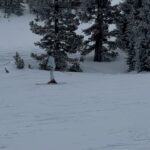 Alycia Debnam-Carey Instagram - Shoop shoop ⛷️