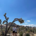 Alycia Debnam-Carey Instagram - Friends in the desert 🏜