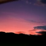 Alycia Debnam-Carey Instagram - Missing this a little bit. 🌌 #lostflowersofalicehart