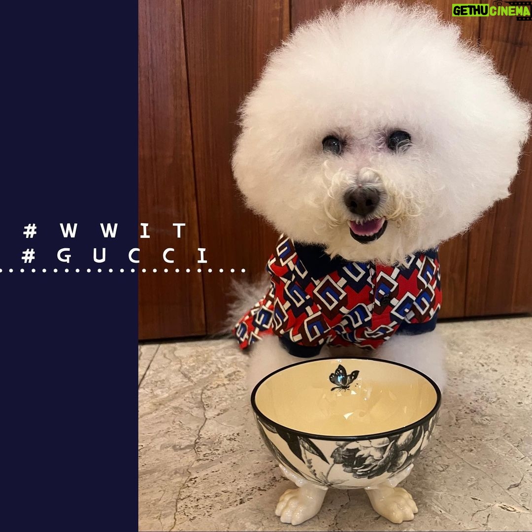 Alyssa Chia Instagram - 這樣寵愛她🥰💕💕 @gucci #gucci